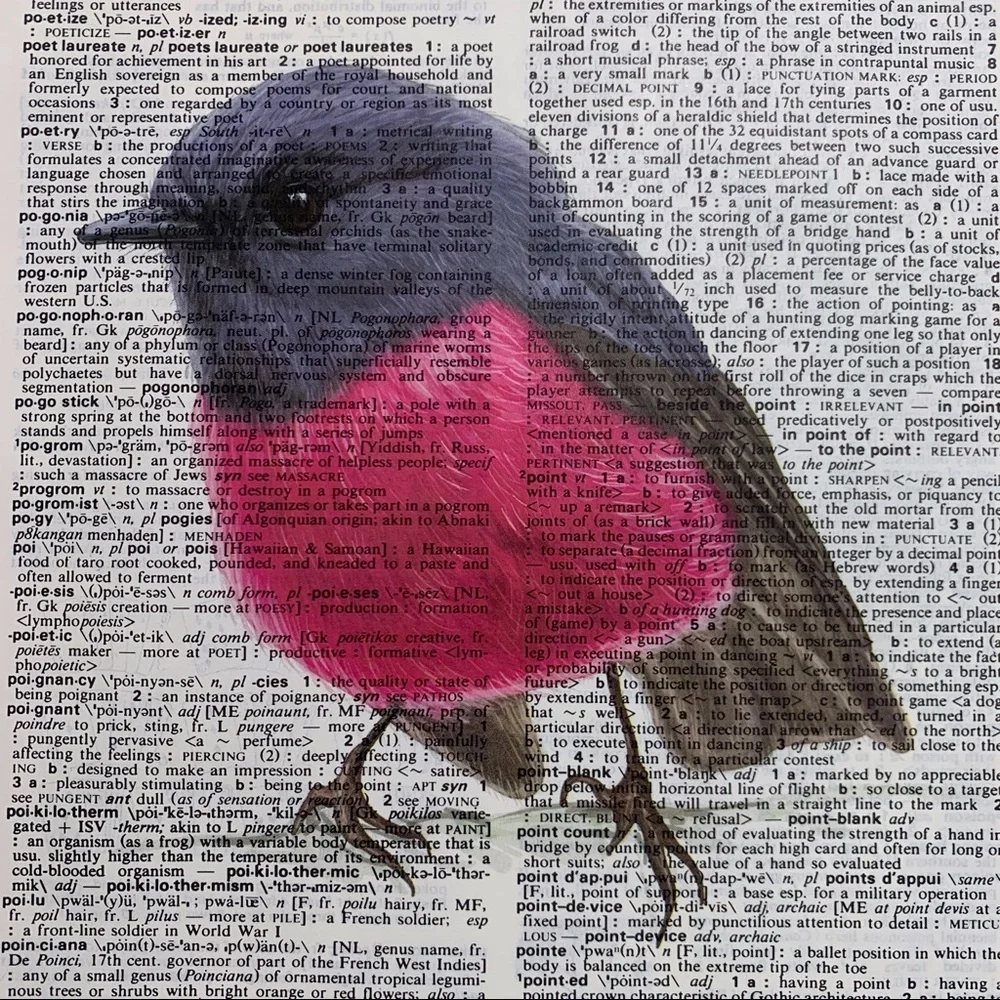 Dictionary Art Print Pink Robin Bird, Vintage Art Print